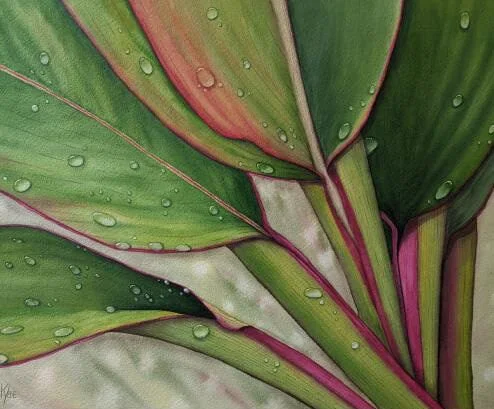 A watercolour of rain-beaded leaves, by class teacher Kaylene Gayner