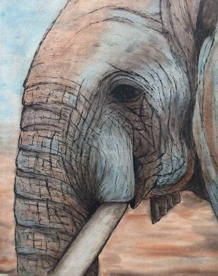 Elephant, a watercolour on cradled board by Kaylene Gayner